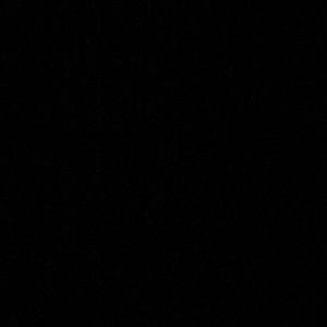 Meet your Posher, Donavon